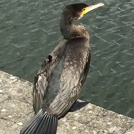 Apartmán Le Pre-chet *