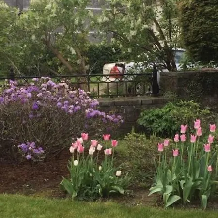 Le Pré-chet Appartamento *